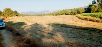 BOLU MUDURNU PELİTÖZÜ KÖYÜ'NDE 3600 M2 SATILIK ARSA — fotoğraf 5