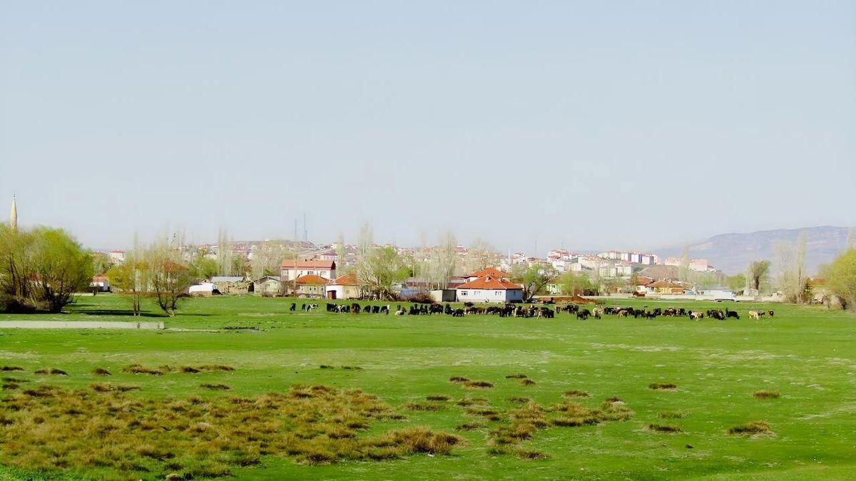 ANKARA AYAŞ TEKKEDE 5 DÖNÜM SATILIK İMARLI ARSA