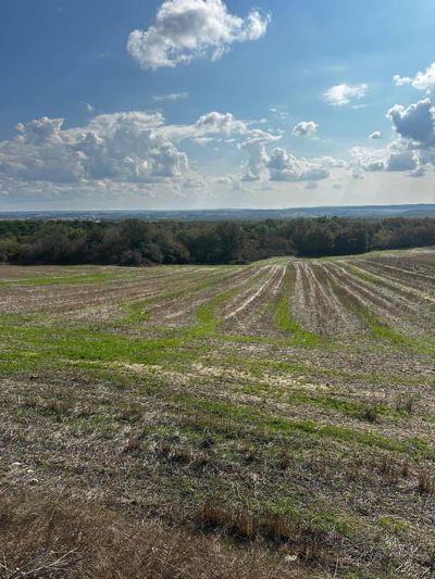 SİLİVRİDE SATILIK 500 mk FIRSAT ARSALAR — fotoğraf 21
