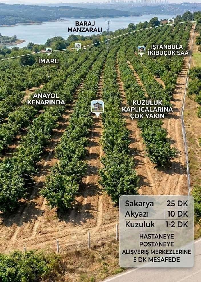 FİYAT DÜŞTÜ SAKARYA AKYAZI DA UYGUN FİYATA FINDIKLIK