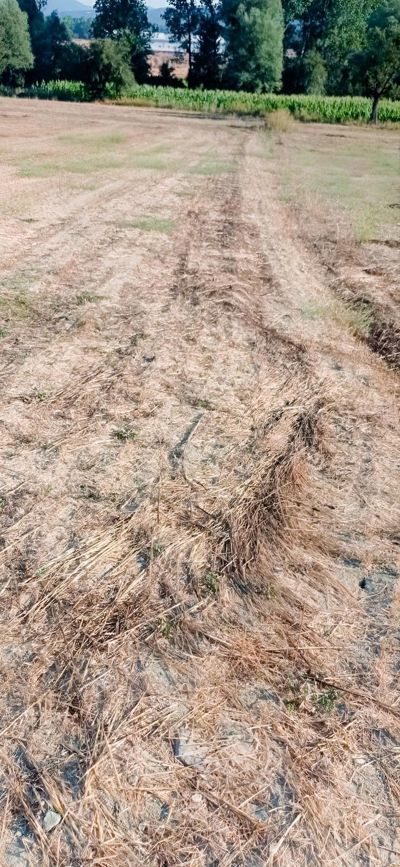 BOLU MUDURNU PELİTÖZÜ KÖYÜ'NDE 3600 M2 SATILIK ARSA