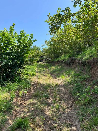 KUZULUKTA RESMİ YOLU AÇIK / PANORAMİK MANZARALI 5.440 M2 BAHÇE