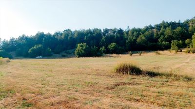 BOLU MUDURNU PELİTÖZÜ KÖYÜ'NDE 3600 M2 SATILIK ARSA — fotoğraf 3
