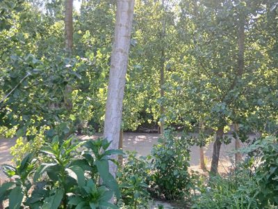 BEDİLTAHİRBEY'DE FIRSAAT TARLA! PEYZAJ VE TARIMA UYGUN — fotoğraf 13