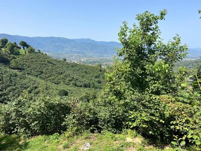 KUZULUKTA RESMİ YOLU AÇIK / PANORAMİK MANZARALI 5.440 M2 BAHÇE — fotoğraf 7