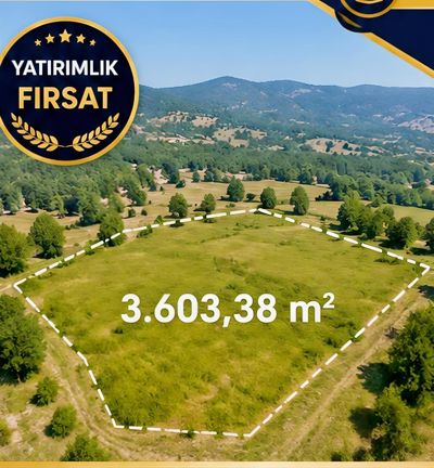 BOLU MUDURNU PELİTÖZÜ KÖYÜ'NDE 3600 M2 SATILIK ARSA — fotoğraf 6